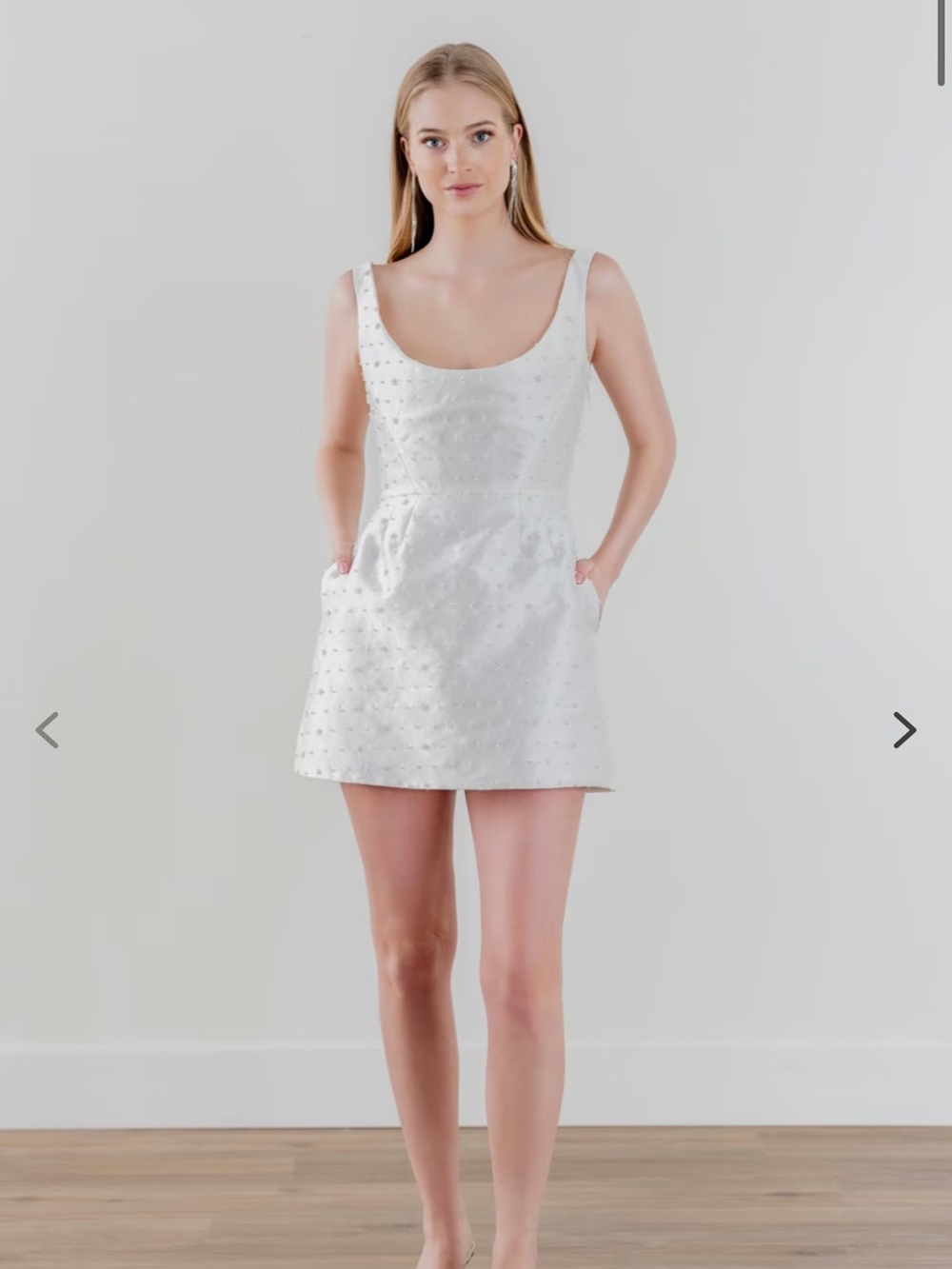 By Watters Obsessed Mini Dress